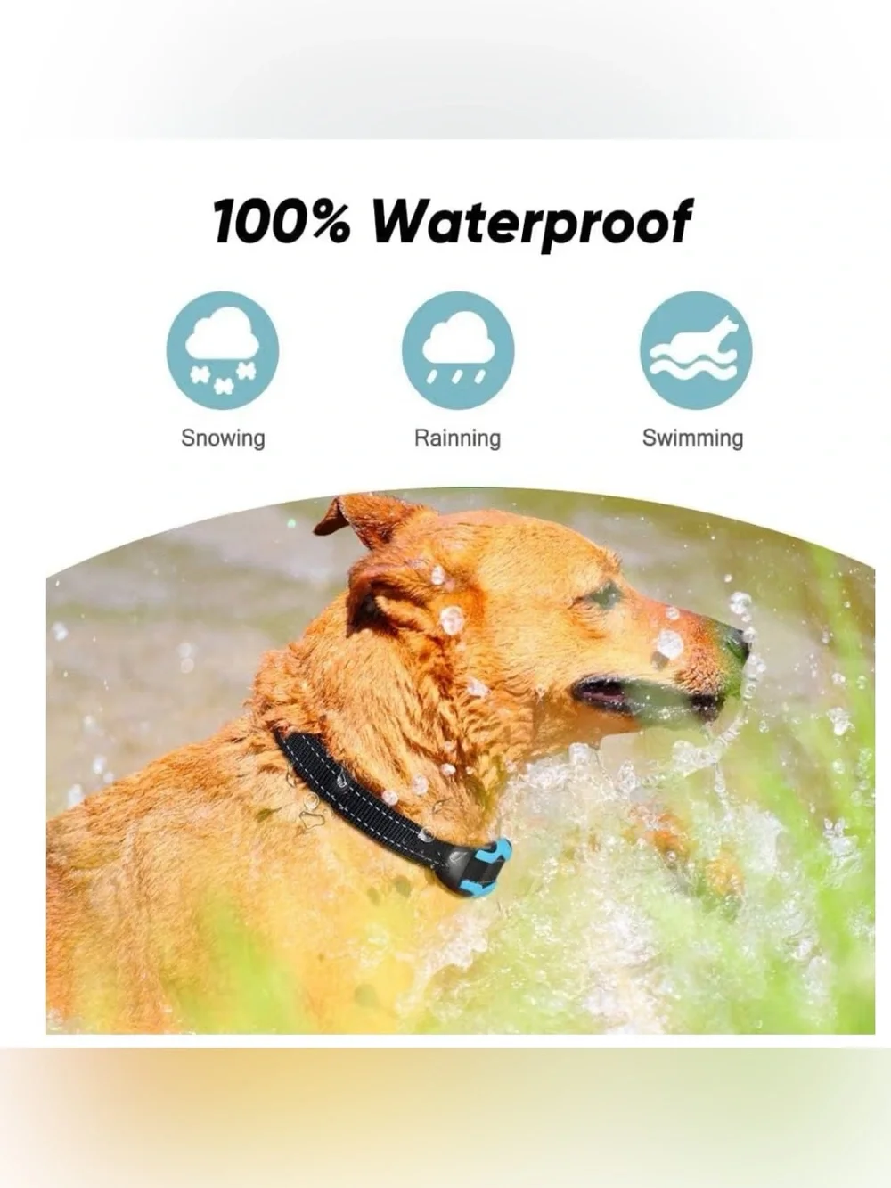 Electric Fence For Dogs,